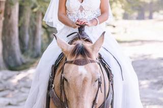 Carly Barton Photography - 9