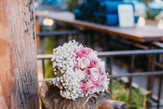 Benson Park Photography - 22