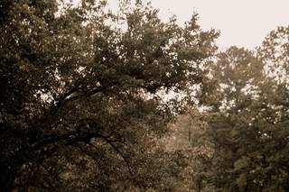 Andres Lopez Films - 51