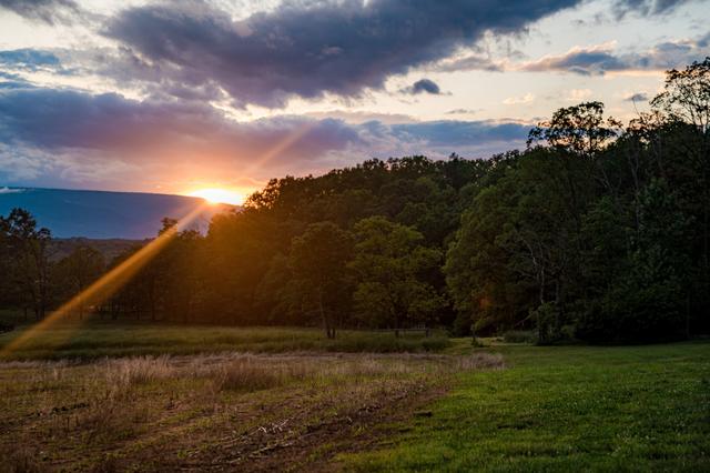 Shenandoah Woods - 1