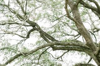KNZ Weddings and Events - 45