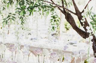 Sapphire Sky Events - 47
