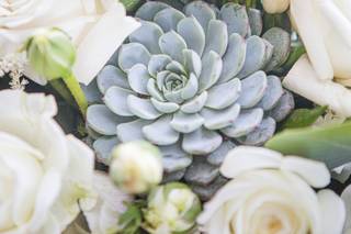 Trellis Fresh Flowers - 12