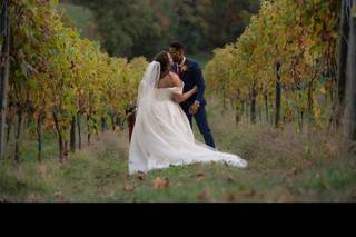 Point Lookout Vineyards - 14