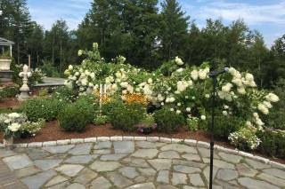 Windsor Mansion Inn - 5