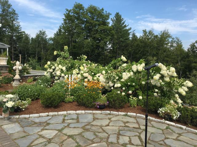 Windsor Mansion Inn - 2