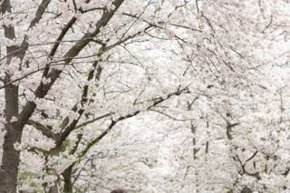 Jessica Nazarova Photography - 6