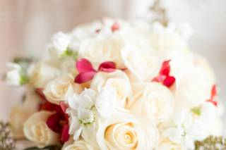 Marah Cole Designs - 33