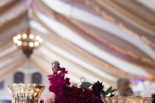 Jackie Fogartie Events - 77
