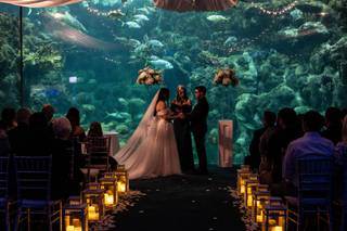 Lemon Drops Weddings & Events - 9