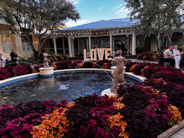 Kerrigan Constantino Weddings and Events - 1