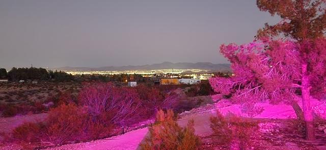The Desert’s Edge - 4