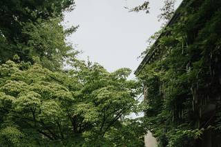 photos by mb - 36