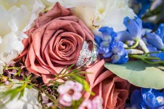 Denis Largeron Photographie - 6