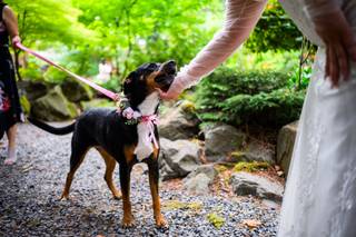 Peter Mahar Photography - 23