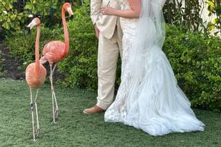 Vida Events - 21