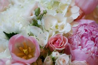 Bloom With Jenna - 27