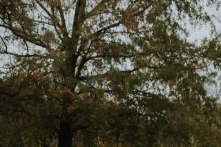 Dani Nicole Photography - 16