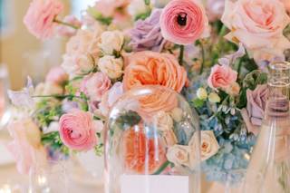 Amanda Somerville Photography - 7