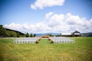 Golden Thistle Design - 47