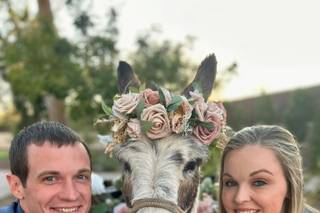 Haul N Ass Productions - 36