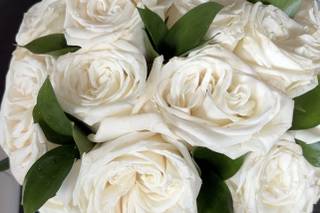 Daydream Floral - 18