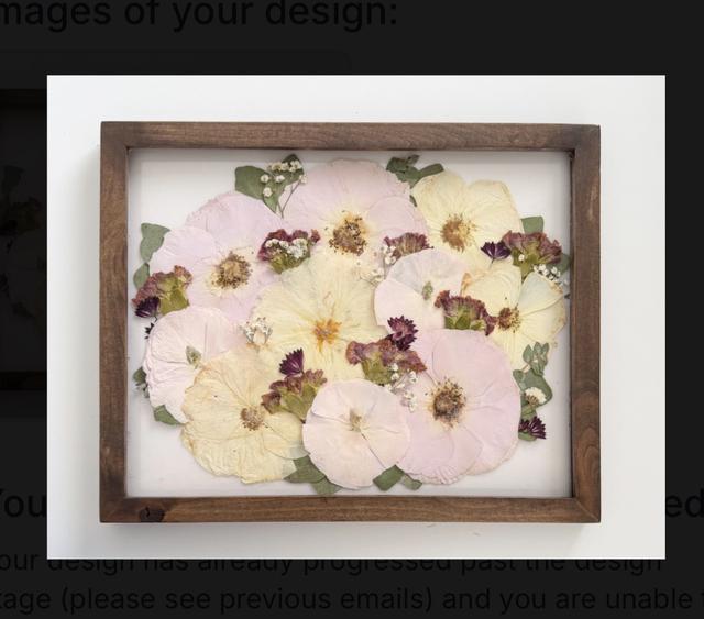 White Poppy Preservation - 1