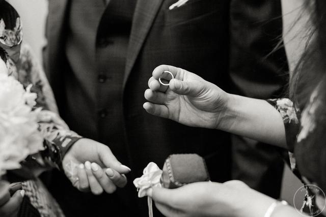 Kelly Kollar Photography - 4