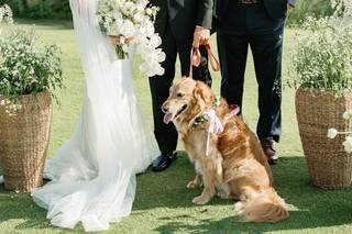 Kasey King Wedding Officiant - 23