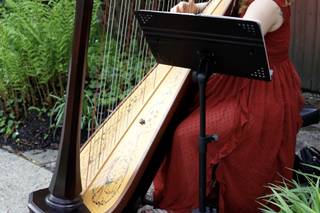 Erin Baker Harpist - 4