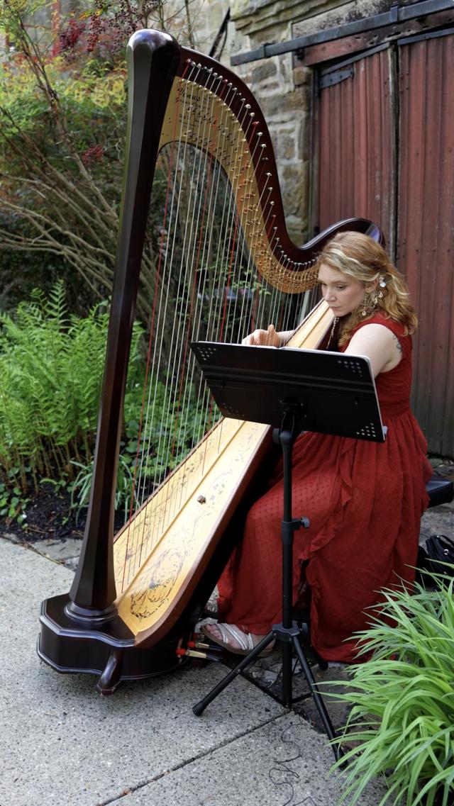Erin Baker Harpist - 1