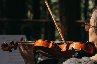 Megan Susuico-Scott Violin - 1