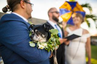 Jonathan Hare Photography - 43
