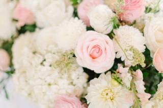Carolina Roses - 31