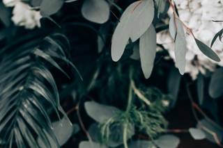 FineArt Studio - 29