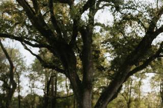 Addison Woods Wedding and Event Venue - 26