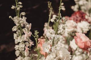 Golden Thistle Design - 7
