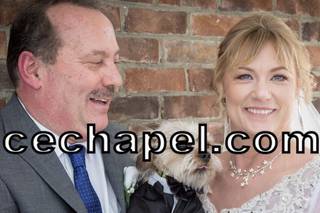 Adventure Weddings Las Vegas - 5