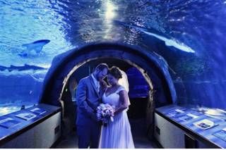 Newport Aquarium - 17