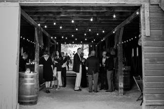 root + gather events - 49