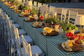 Daisy Weddings & Events - 7