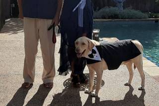 Allie The Wedding Officiant - 10