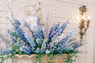 Avant Gardenia - 7