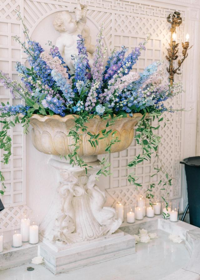 Avant Gardenia - 2