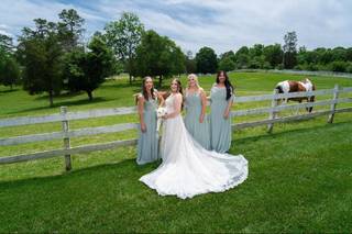 Songbirds Bridal, Formal & Consignments - 5
