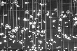 The Baltimore Museum of Art - 81