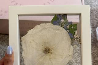White Poppy Preservation - 8
