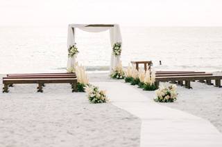 Stella Paschall Photo  - 12