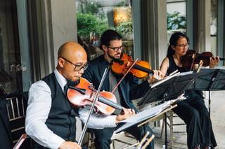 Tribute String Quartet - 13