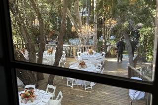 The Little Branch - 22